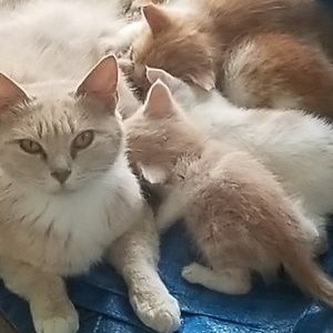 Meet your Posher, Carolyn